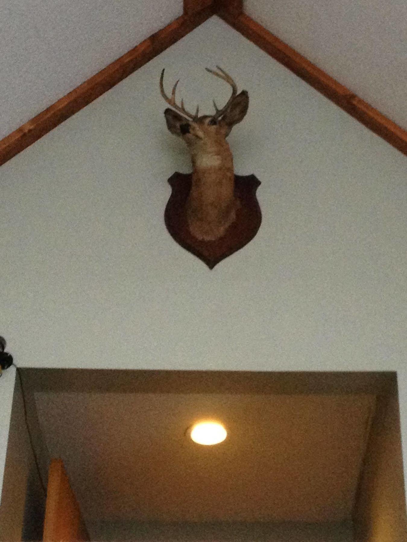 Chaffee Lodge Екстериор снимка